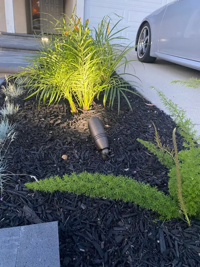 Mow curb poured around a planted bed in Perris, CA