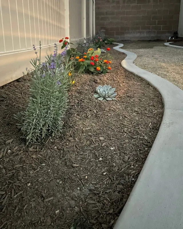 Concrete curbing around a planter in Perris, CA