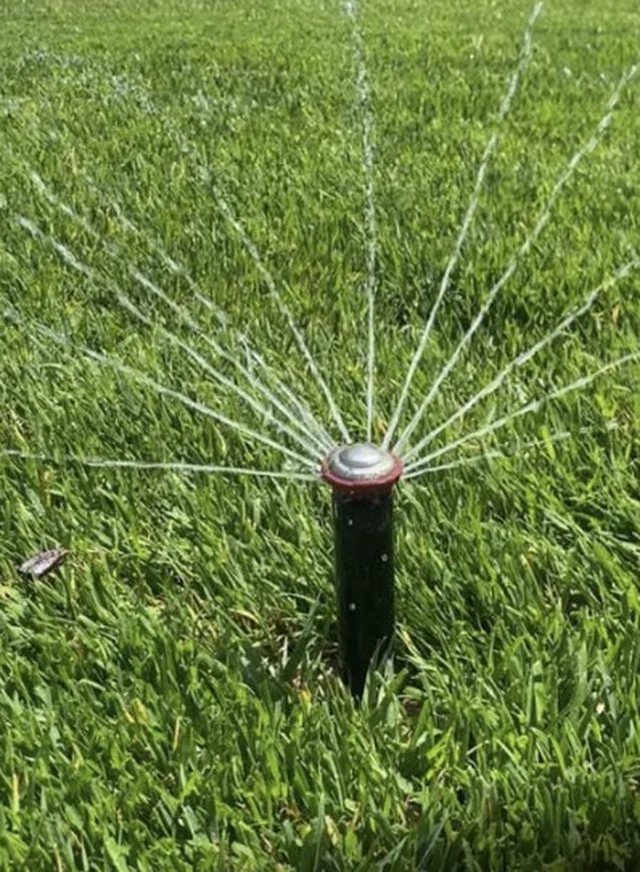 Pop-up sprinkler head spraying over a green lawn