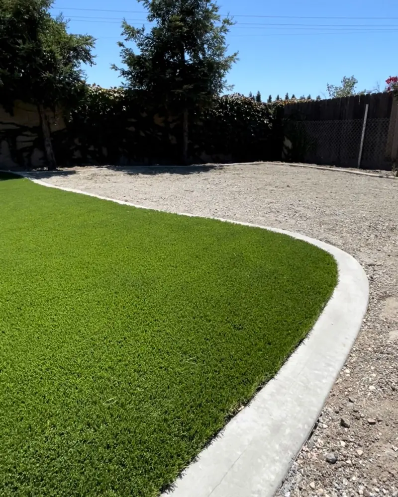 Overgrown yard in Perris, CA before a landscape renovation